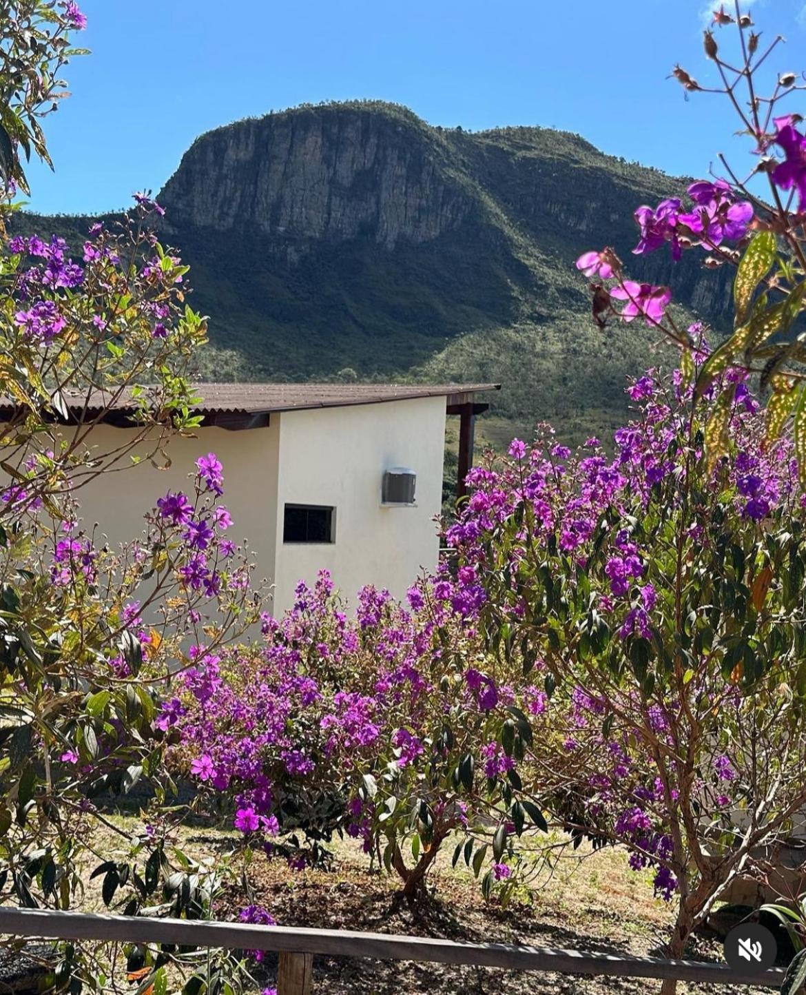 Pousada Rancho Dos Ipes Alto Paraíso de Goiás Eksteriør billede