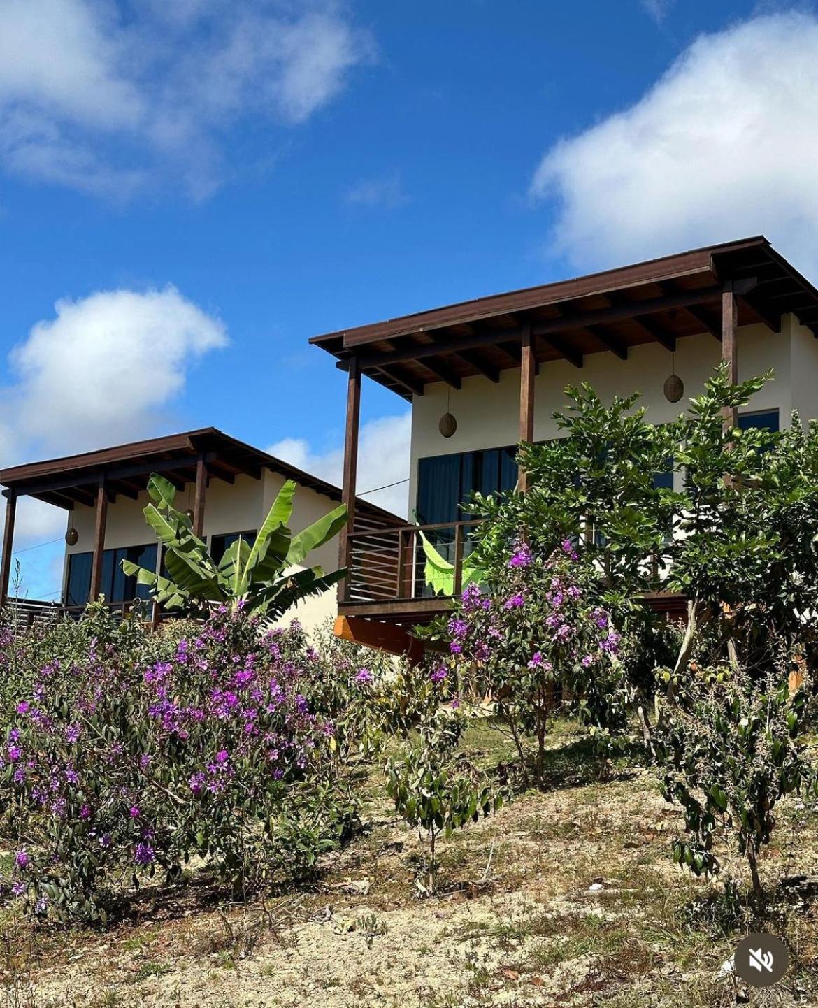 Pousada Rancho Dos Ipes Alto Paraíso de Goiás Eksteriør billede