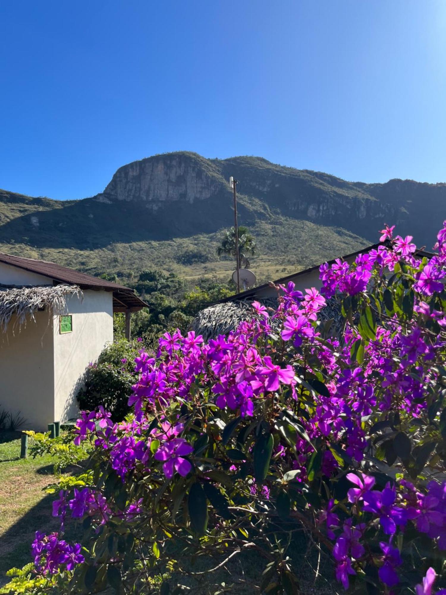 Pousada Rancho Dos Ipes Alto Paraíso de Goiás Eksteriør billede